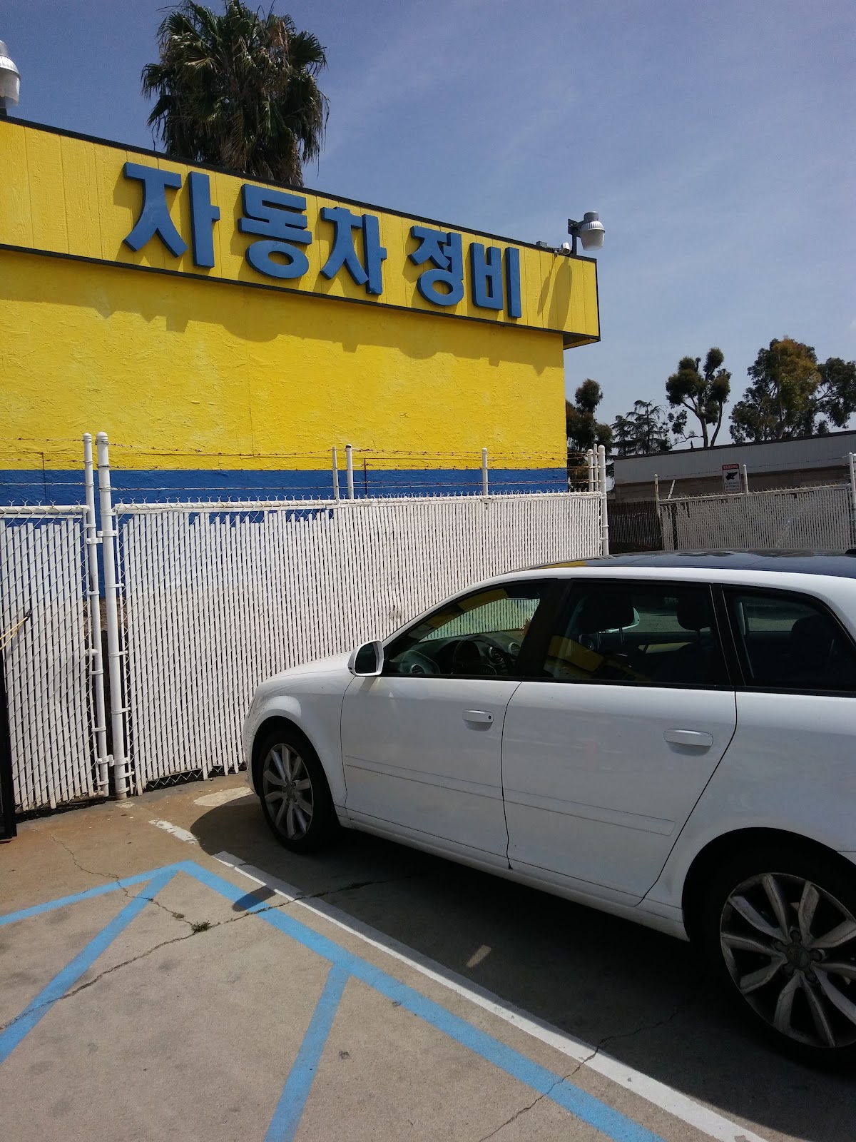 Steed Auto Repair photo 3