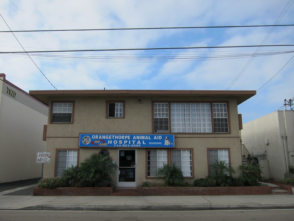 The Animal Doctors of Buena Park photo 2